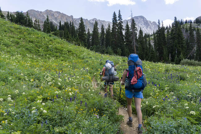 Rear view of female backpackers on mountain — Stock Photo
