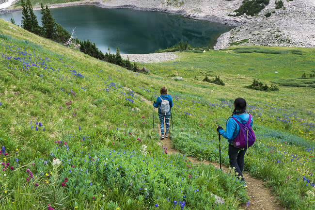 Rear view of young female friends hiking on mountain — Stock Photo