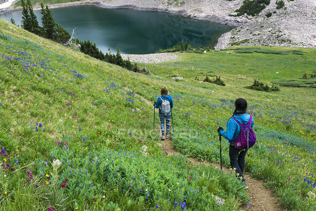 Rückansicht junger Freundinnen beim Bergwandern — Stockfoto