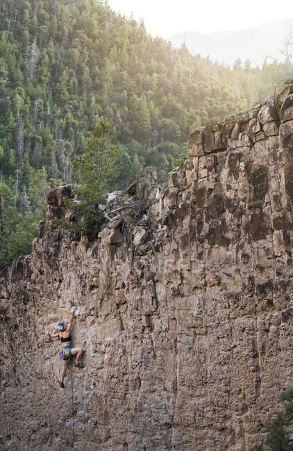 Female hiker rock climbing in forest — Stock Photo