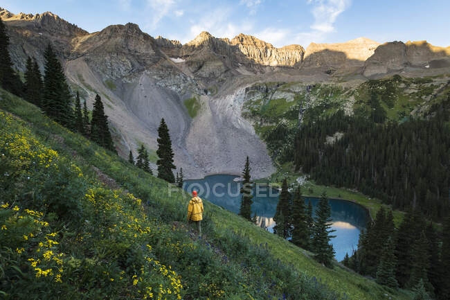 Männlicher Wanderer wandert inmitten von Pflanzen am Berg — Stockfoto