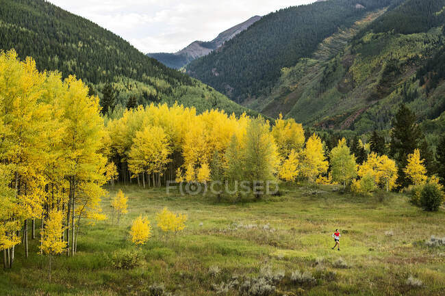 Средний дальний взгляд на женщину, бегущую в лесу осенью — стоковое фото