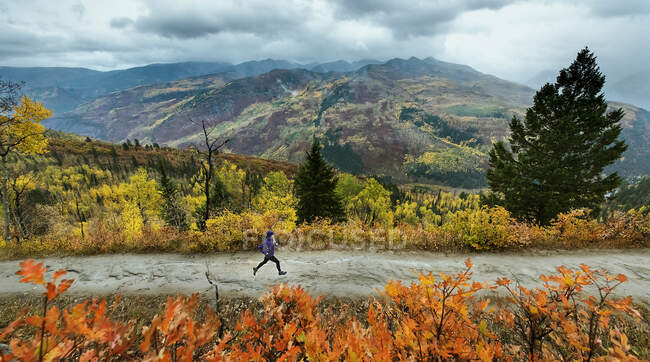 Жінка біжить по дорозі восени. — стокове фото