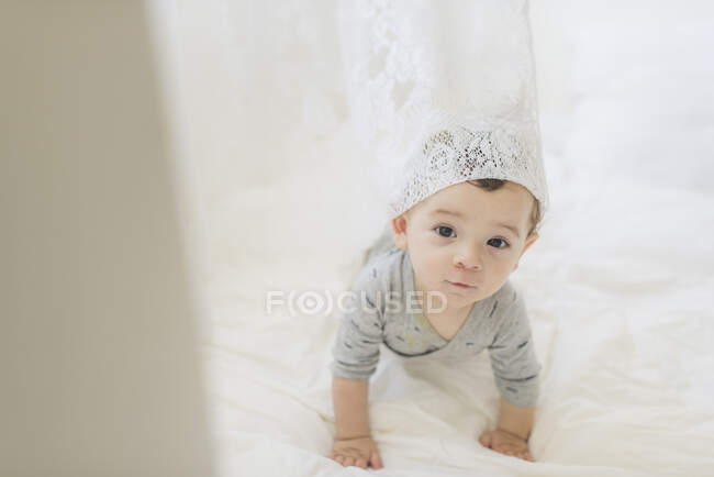 Crawling baby boy with white lace curtain draped on head — Stock Photo