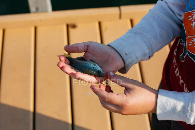 Ein kleiner Junge hält einen kleinen Fisch auf einem Steg — Stockfoto