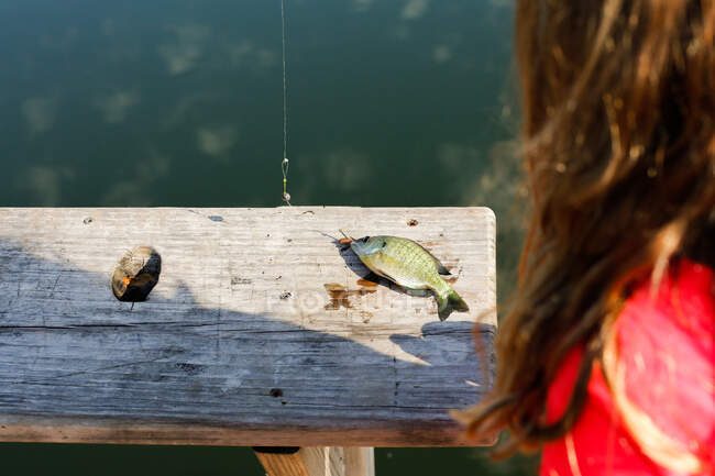 Молодая девушка осматривает маленькую рыбку — стоковое фото