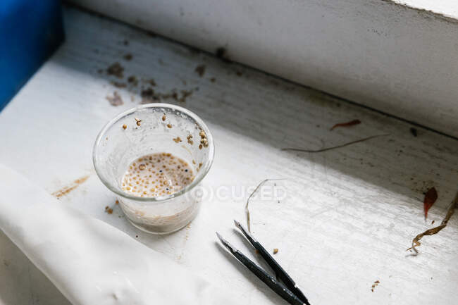 Bird food in plastic cup — Stock Photo