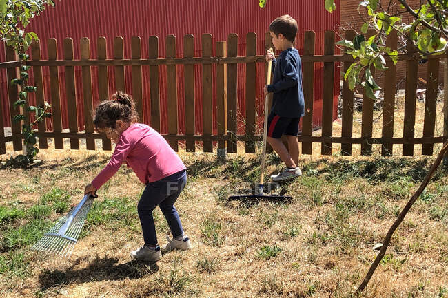 Petits frères et sœurs ratissant l'herbe dans le jardin — Photo de stock