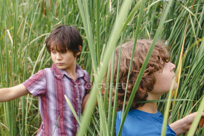 Two boys walk together through towering green reeds exploring — Stock Photo