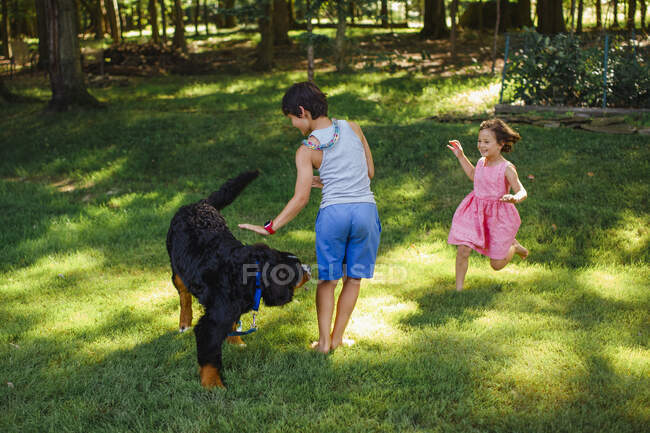 Dos niños felices juegan juntos con el perro en un patio trasero arbolado y soleado - foto de stock
