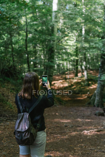 Mädchen macht ein Foto mit ihrem Handy im Wald — Stockfoto