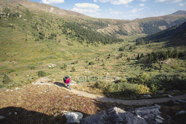 Blick aus der Vogelperspektive auf eine Frau, die im Sommer auf dem Berg wandert — Stockfoto