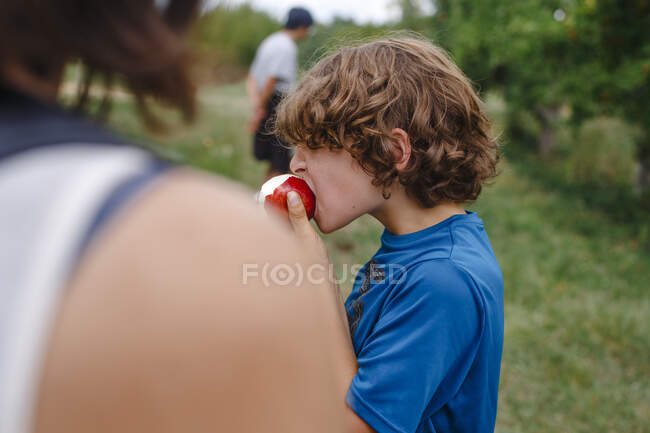 View over a woman's shoulder of a boy biting into red apple in orchard — Stock Photo