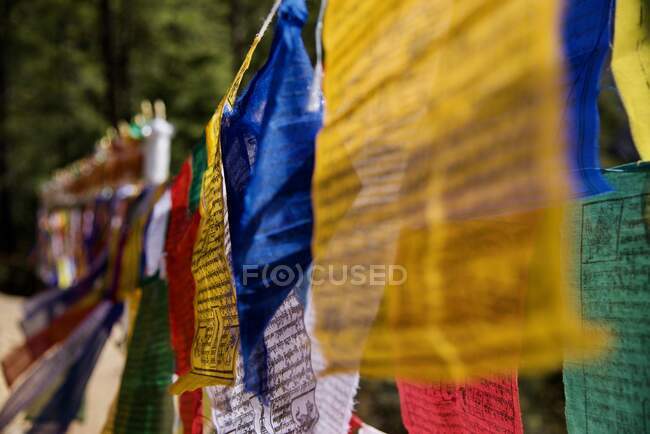 Bandiere di preghiera durante le escursioni al nido della tigre — Foto stock