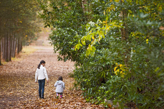 Dos chicas jóvenes caminando en el bosque cerca de Woking - foto de stock