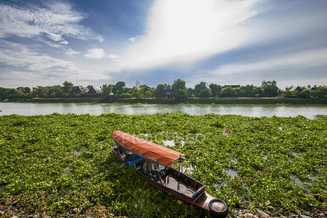 Ein traditionelles thailändisches Langschwanzboot inmitten einer Wasserhyazinthe — Stockfoto