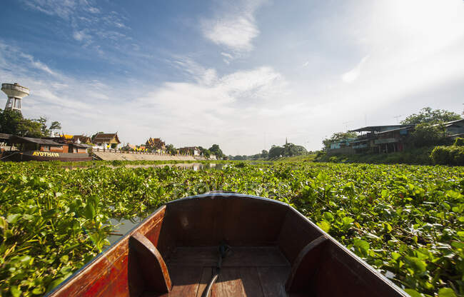 Ein traditionelles thailändisches Langschwanzboot inmitten einer Wasserhyazinthe — Stockfoto