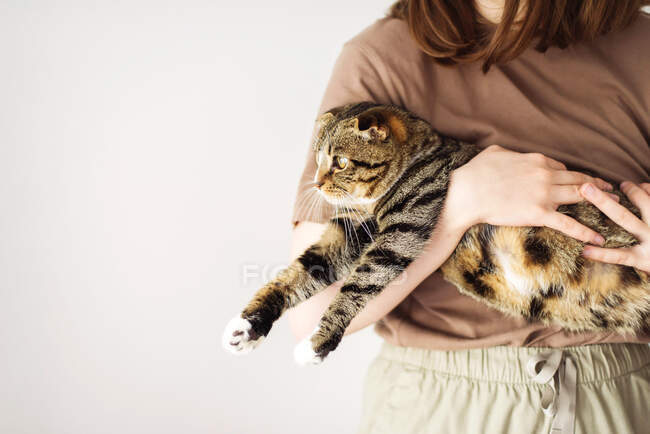 Young woman holding beautiful cat on white background — Stock Photo