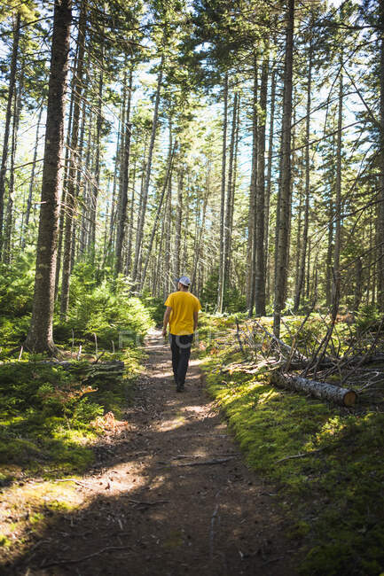 Homme seul sur un sentier de randonnée nature dans le Maine côtier — Photo de stock
