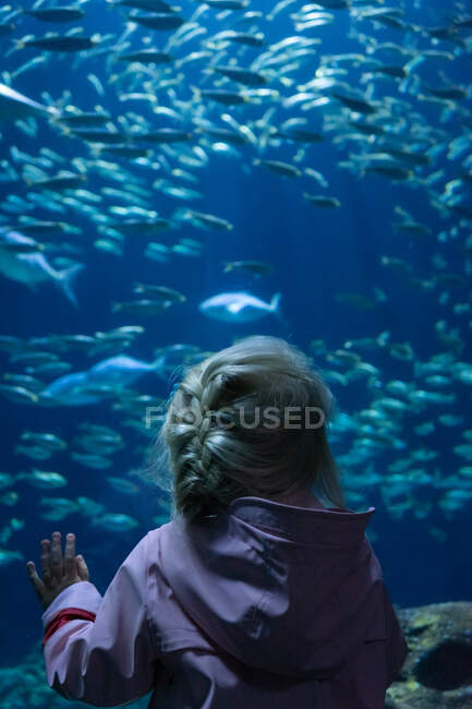 Junges Mädchen beobachtet Fische beim Schwimmen in einem großen Aquarium im Zoo. — Stockfoto