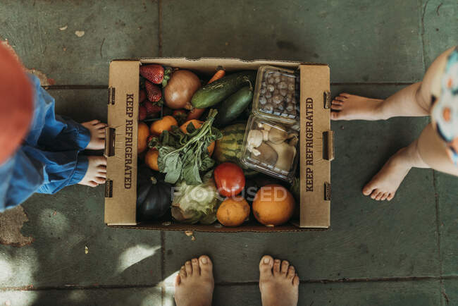 Scatola con verdure e frutta sul pavimento — Foto stock
