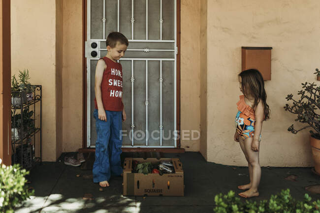 Children standing by CSA farmers box full of produce on front porch — Stock Photo