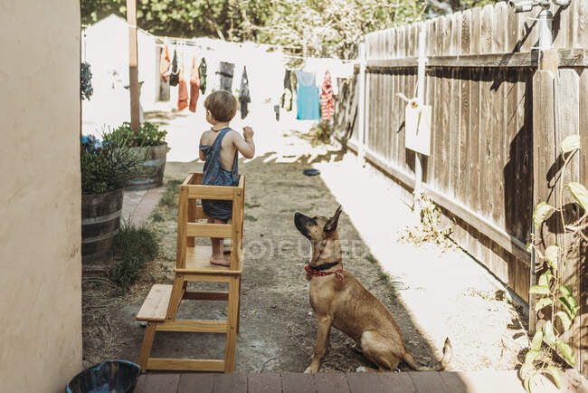 Jeune garçon tout-petit et chiot jouant dehors dans la cour ensemble — Photo de stock