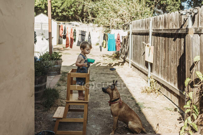 Молодий малюк хлопчик і цуценя грають на вулиці у дворі разом — стокове фото
