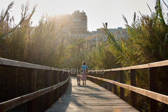 Mulher caminha com seu cachorro em uma passarela de madeira em direção à cidade — Fotografia de Stock