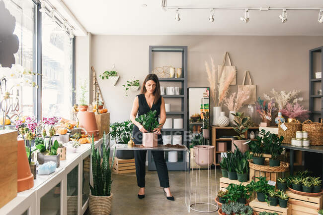 Beautiful young florist taking care of flower pots in her store — Stock Photo