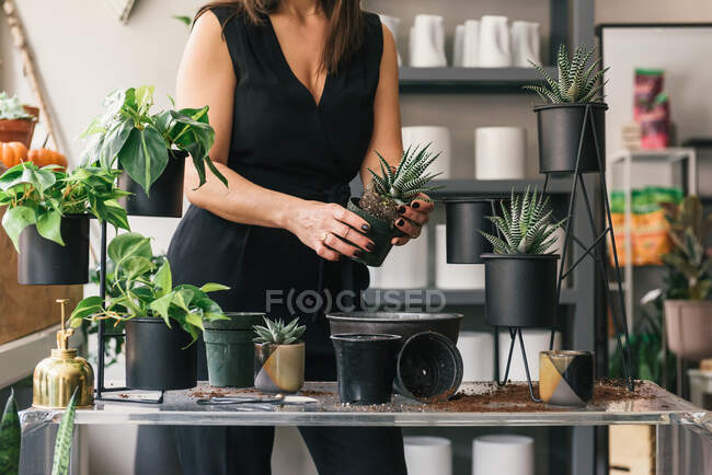 Cropped shot of florist taking care of flower pots in her store — Stock Photo