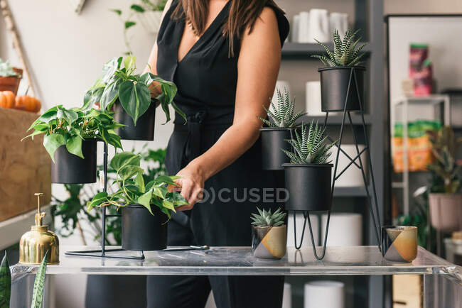 Cropped shot of florist taking care of flower pots in her store — Stock Photo