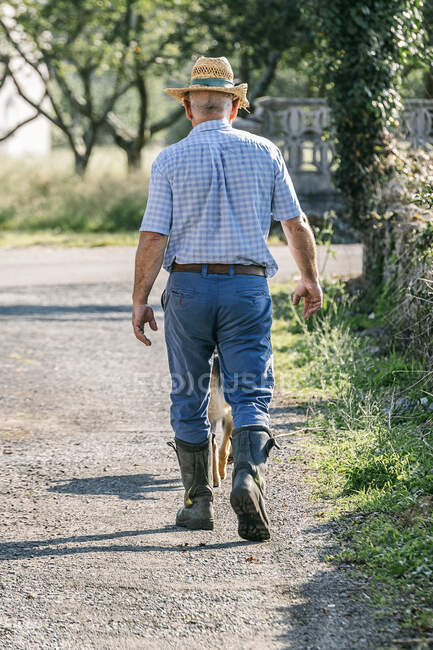 Agricultor caminando por una carretera en un día soleado. concepto de agricultura - foto de stock