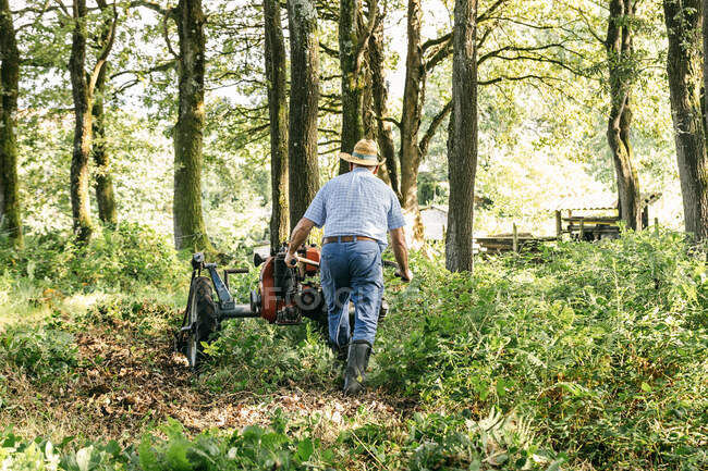 Rückansicht eines Bauern, der an einem sonnigen Tag mit dem Rasenmäher arbeitet — Stockfoto