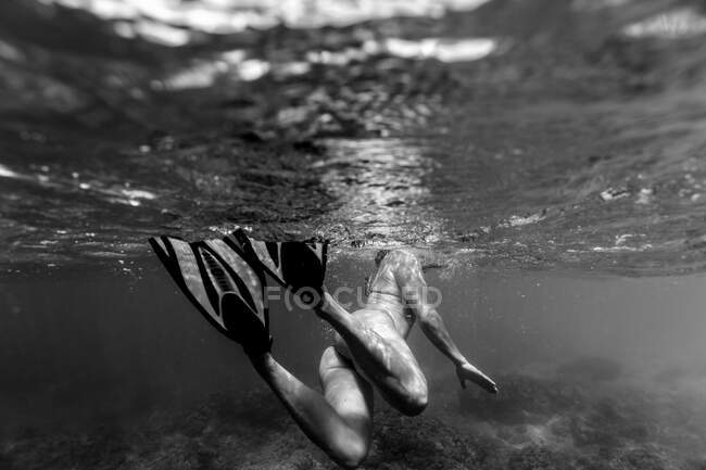 Foto en blanco y negro de una mujer nadando con aletas en el océano - foto de stock