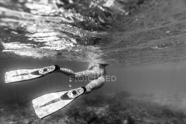 Black and white backside shot of female snorkeling with fins — Stock Photo