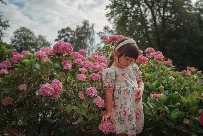 Retrato de niña con flores de hortensias - foto de stock