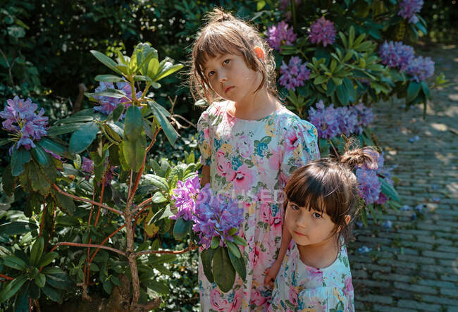 Retrato de dos hermanas cogidas de la mano detrás de flores púrpuras - foto de stock