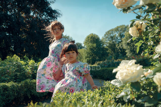 Retrato de hermanas con rosas blancas - foto de stock