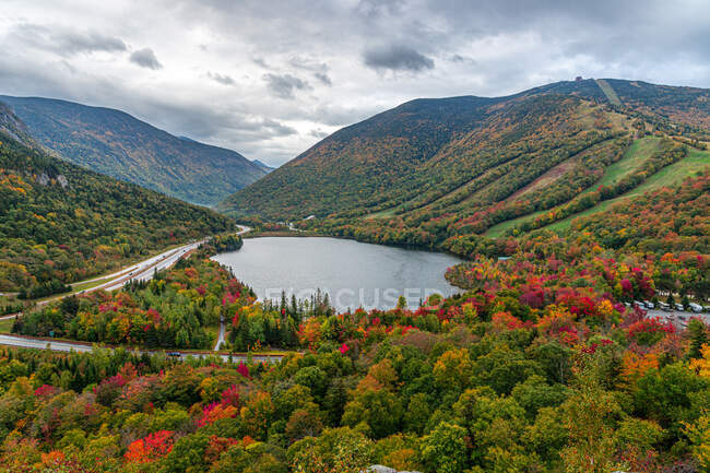 Herbstfarben im Wald. schöne Berglandschaft. — Stockfoto