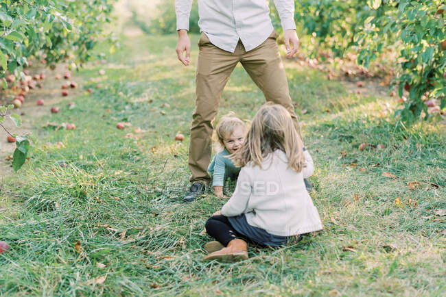 Une jeune famille jouant dans un verger de pommes lors d'une soirée ensoleillée — Photo de stock