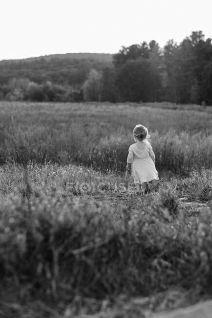 Pequeña niña caminando a través de un campo al sol - foto de stock