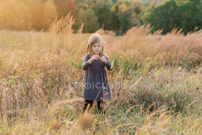 Menina de cinco anos dispersando a semente de flores silvestres secas — Fotografia de Stock