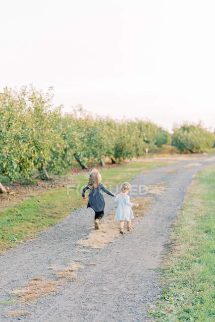 Two little sisters running down a path in an apple orchard — Stock Photo