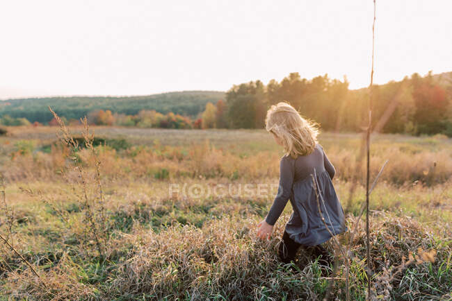 Маленька дівчинка в сірій сукні вивчає природу матері під час заходу сонця — стокове фото
