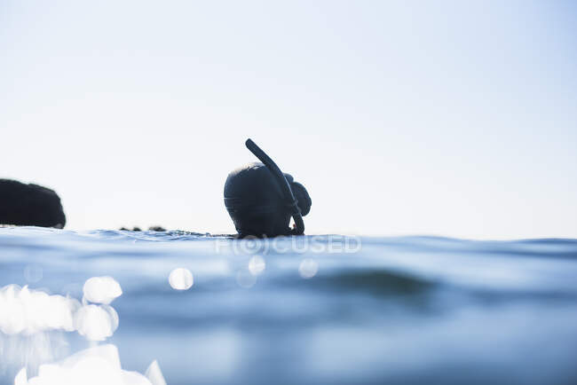 Plongée avec tuba par une journée ensoleillée en Nouvelle-Angleterre — Photo de stock