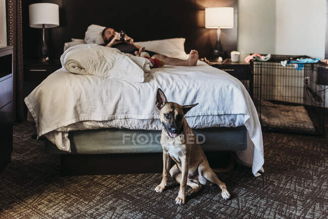 Ritratto di giovane pastore tedesco mescolare cane con osso in camera d'albergo — Foto stock