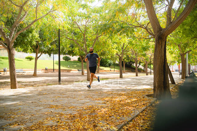 Вмістити чоловіка біжить по головній дорозі парку багато листя взимку — стокове фото