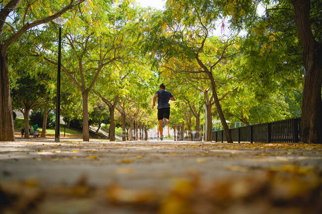 В'язка людина біжить по головній дорозі парку багато листочків взимку — стокове фото