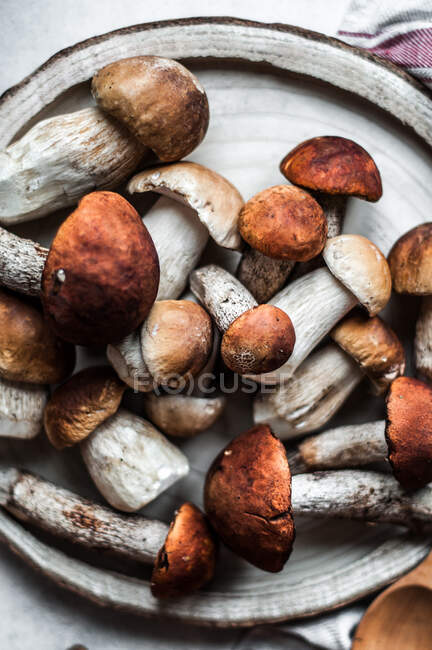 Setas, hongos, setas sobre un fondo de madera - foto de stock